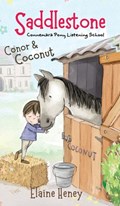 Saddlestone Connemara Pony Listening School | Conor and Coconut | Elaine Heney | 