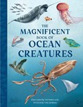 The Magnificent Book of Ocean Creatures | Tom Jackson | 