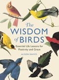 The Wisdom of Birds | Alison Davies | 