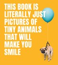 This Book Is Literally Just Pictures of Tiny Animals That Will Make You Smile | Smith Street Books | 