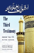 The Third Testimony | Saleem Bhimji | 