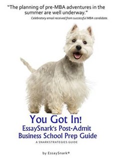 YOU GOT IN!! EssaySnark's Post-Admit Business School Prep Guide