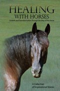 Healing with Horses | Feel Alumni Association | 