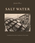 Salt Water | Josep Pla ; Peter Bush | 