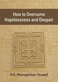 How to Overcome Hopelessness and Despair | Metropolitan Youssef | 