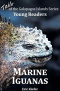 Marine Iguanas - Tails of the Galapagos Islands Series | Eric Kiefer | 