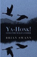 Ya-Honk! Goes the Wild Gander | Brian Swann | 