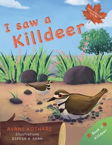 I saw a Killdeer
