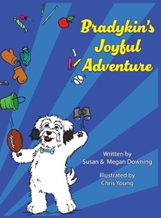 Downing, S: Bradykin's Joyful Adventure