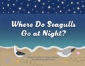 Where Do Seagulls Go at Night? | Eileen Clancy-Pantano | 