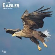 Eagles - Adler 2020 - 18-Monatskalender