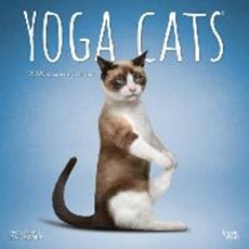 Yoga Cats 2020 Square Wall Calendar