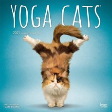 Yoga Cats Kalender 2021