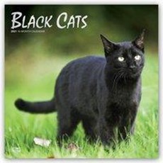 Black Cats - Schwarze Katzen 2021 - 18-Monatskalender