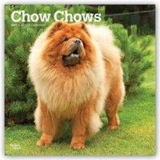 Chow Chows 2021 - 18-Monatskalender mit freier DogDays-App
