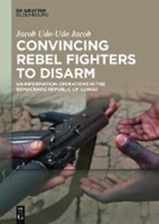 Convincing Rebel Fighters to Disarm