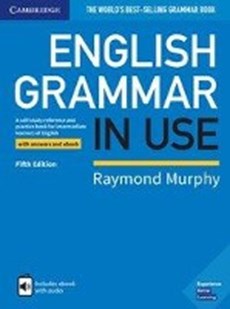 English Grammar in Use / Schülerbuch/Lösungen/eBook