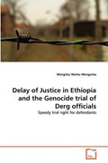 Delay of Justice in Ethiopia and the Genocide trial of Derg officials | Mengistu Worku Mengesha | 