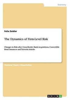 The Dynamics of Firm-Level Risk