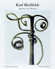 Karl Blossfeldt: Alphabet der Pflanzen / The Alphabet of Plants