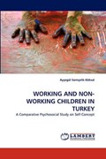 WORKING AND NON-WORKING CHILDREN IN TURKEY | Aysegül Somçelik-Köksal | 