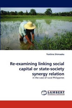 Re-examining linking social capital or state-society synergy relation