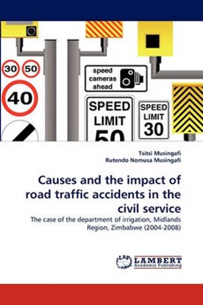 Causes and the impact of road traffic accidents in the civil service