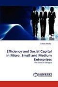Efficiency and Social Capital in Micro, Small and Medium Enterprises | Eshetu Worku | 