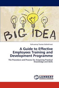 A Guide to Effective Employees Training and Development Programme