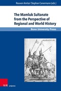 The Mamluk Sultanate from the Perspective of Regional and World History | Reuven Amitai ; Stephan Conermann | 
