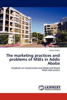 The marketing practices and problems of MSEs in Addis Ababa
