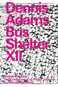 Dennis Adams. Bus Shelter XII