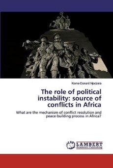 The role of political instability