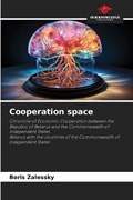 Cooperation space | Boris Zalessky | 