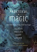 Practical Magic | Nikki Van De Car | 