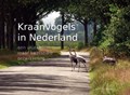 Kraanvogels in Nederland | Herman Feenstra | 