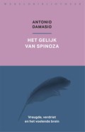 Het gelijk van Spinoza | Antonio Damasio | 