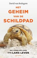 Het geheim van de schildpad | David van Bodegom | 