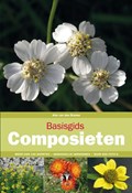 Basisgids composieten | Arie van den Bremer | 