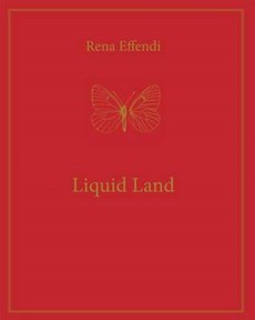 Liquid land