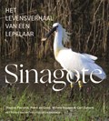 Sinagote | Theunis Piersma ; Petra de Goeij ; Willem Bouten ; Carl Zuhorn | 