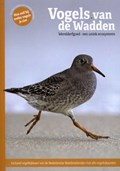 Vogels van de Wadden | Marc Plomp ; Roy de Haas | 