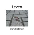 Leven | Bram Pietersen | 