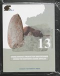 Stone Artefact Production and Exchange among the Lessen Antilles | Sebastiaan Knippenberg | 