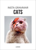 Cats | Irene Schampaert | 