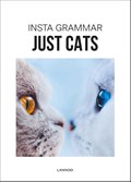Insta Grammar - Just Cats | Irene Schampaert | 