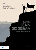 Lean Six Sigma Black Belt | Ir. H.C. Theisens | 