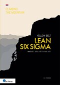 Lean Six Sigma Yellow Belt | Ir. H.C. Theisens | 