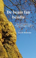 De beam fan belofte | Gerrit Damsma | 