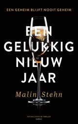 Een gelukkig nieuwjaar | Malin Stehn | 9789403181417